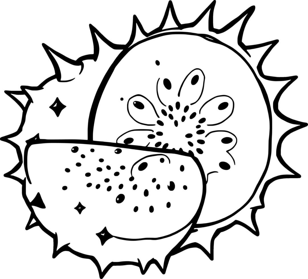 Sliced Kiwano Melon A Vibrant Illustration Of Exotic Fruit vector