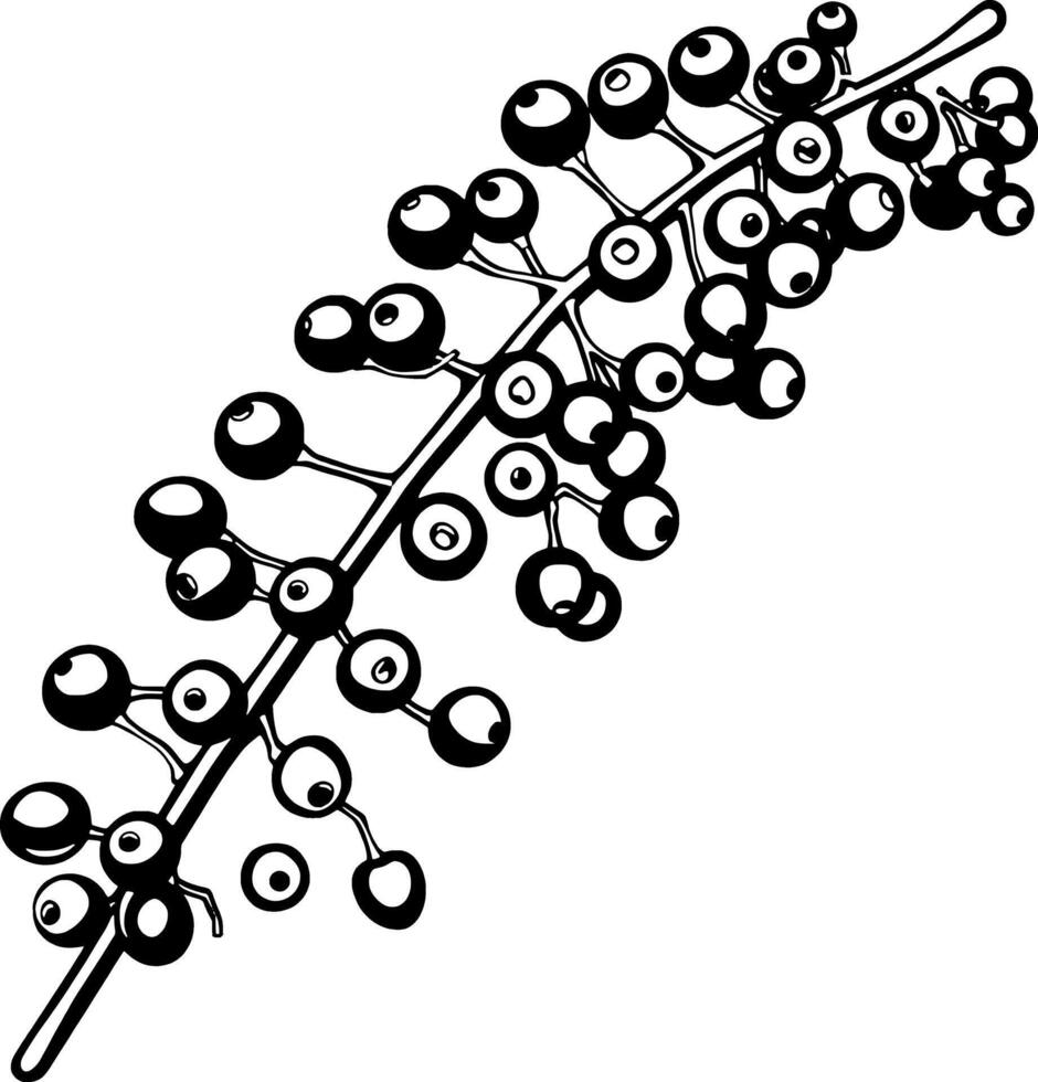 Illustration Of A Branch With Abundant Berries vector