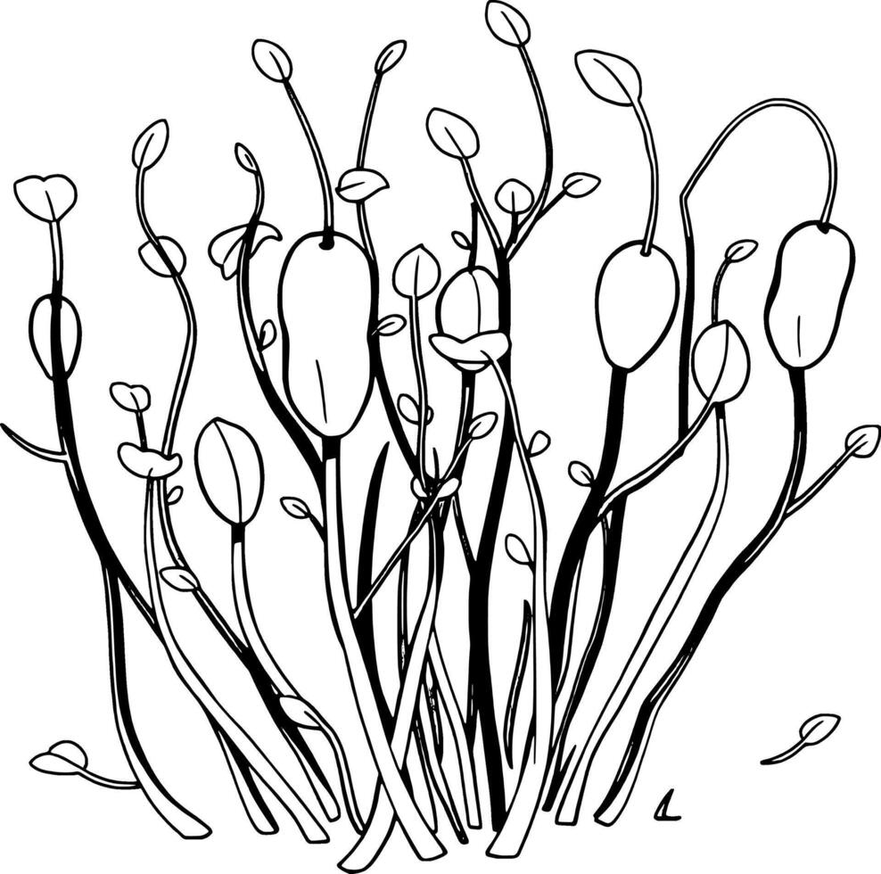 A Cluster Of Vibrant Green Sprouts Emerging From The Earth Displaying Early Growth Stages vector