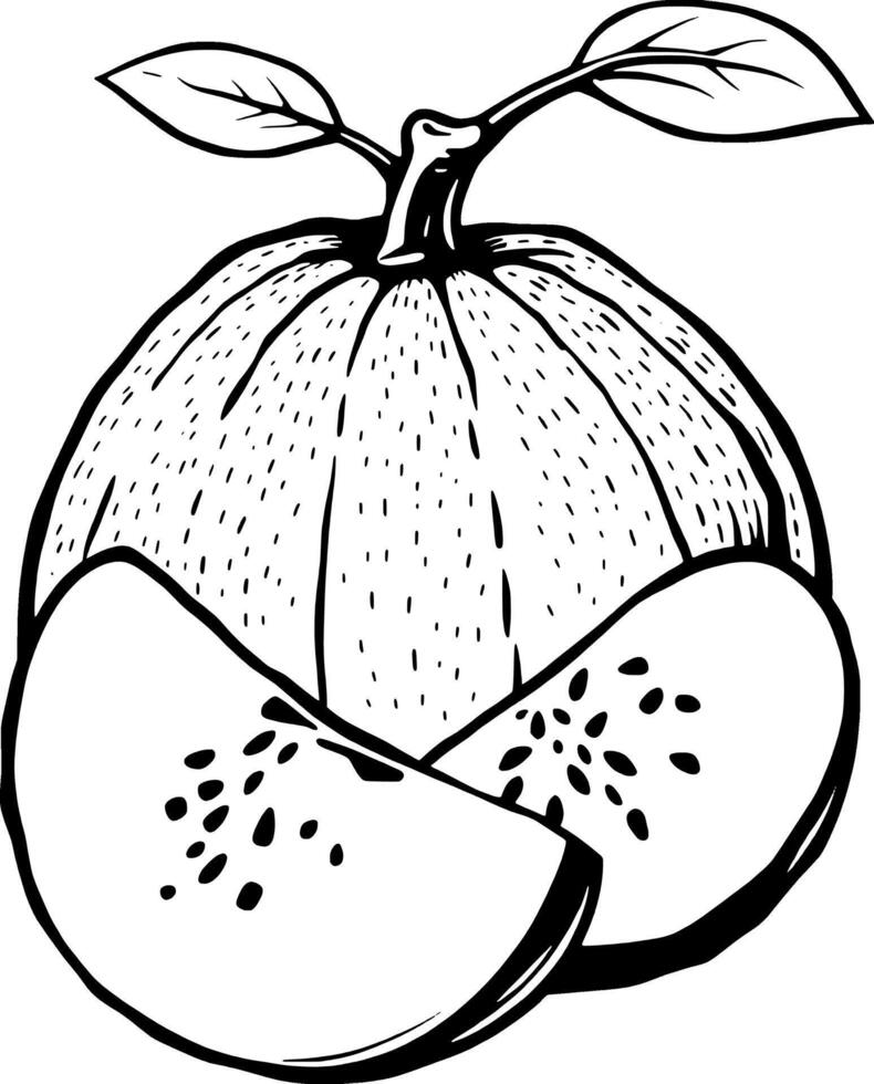 A Detailed Illustration Of A Whole Quince And Two Slices Featuring Intricate Linework And A Vibrant vector