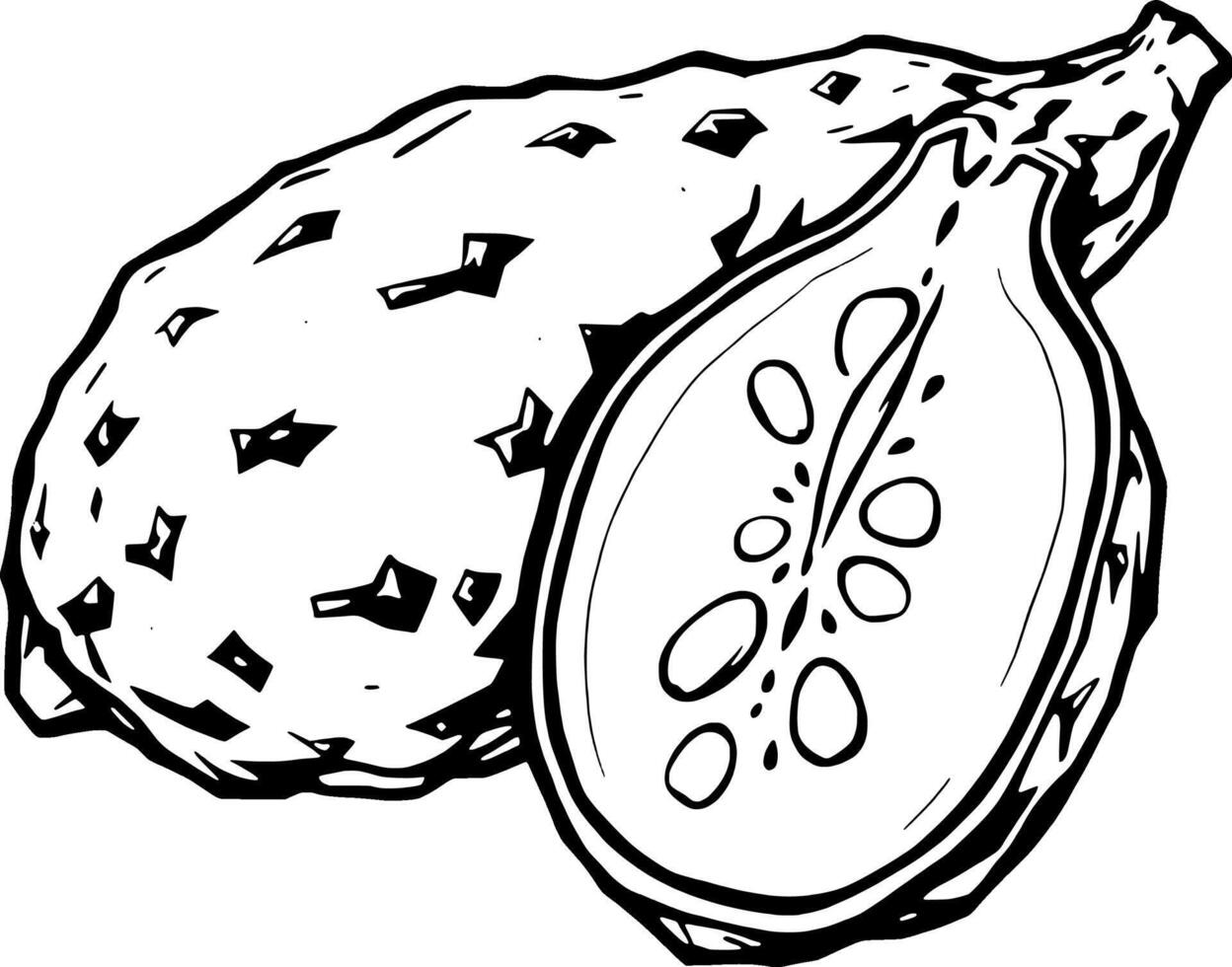 Hand-Drawn Illustration Of A Whole And Halved Prickly Pear Cactus Fruit vector