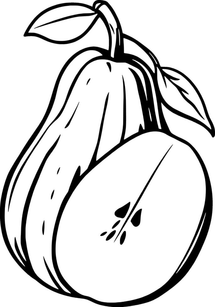 A Detailed Line Drawing Of A Pear Halved Showing Its Seeds And Leaves vector