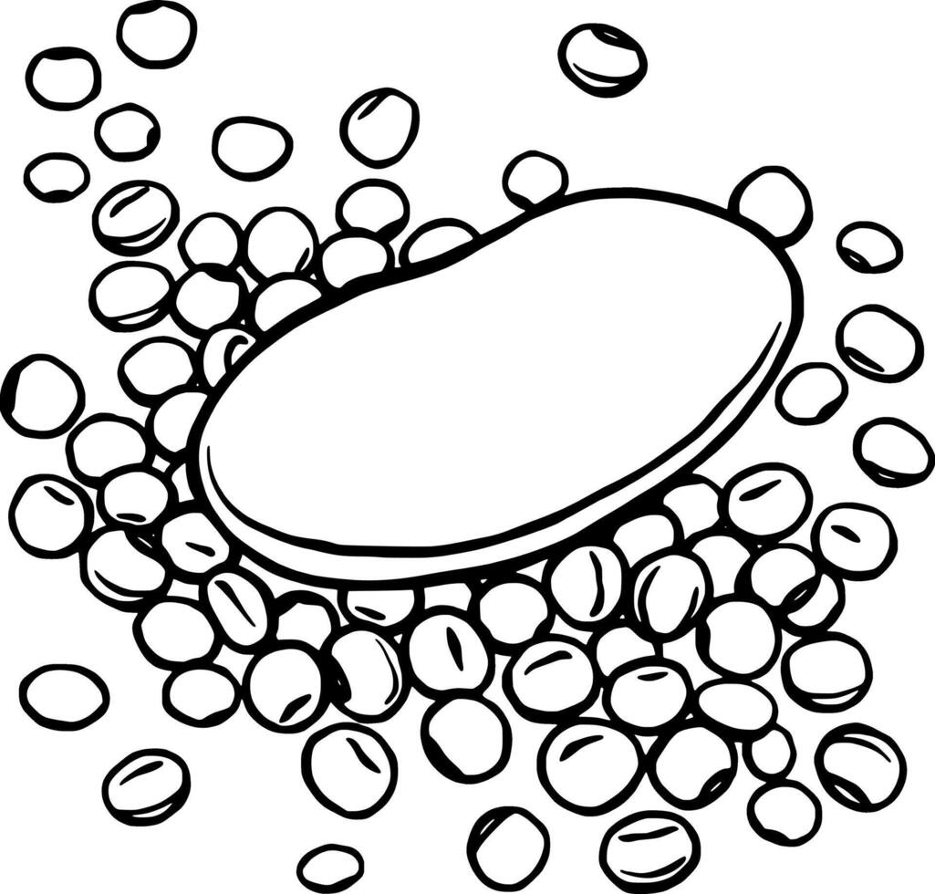 Single Large Soybean Resting on a Pile of Smaller Soybeans vector