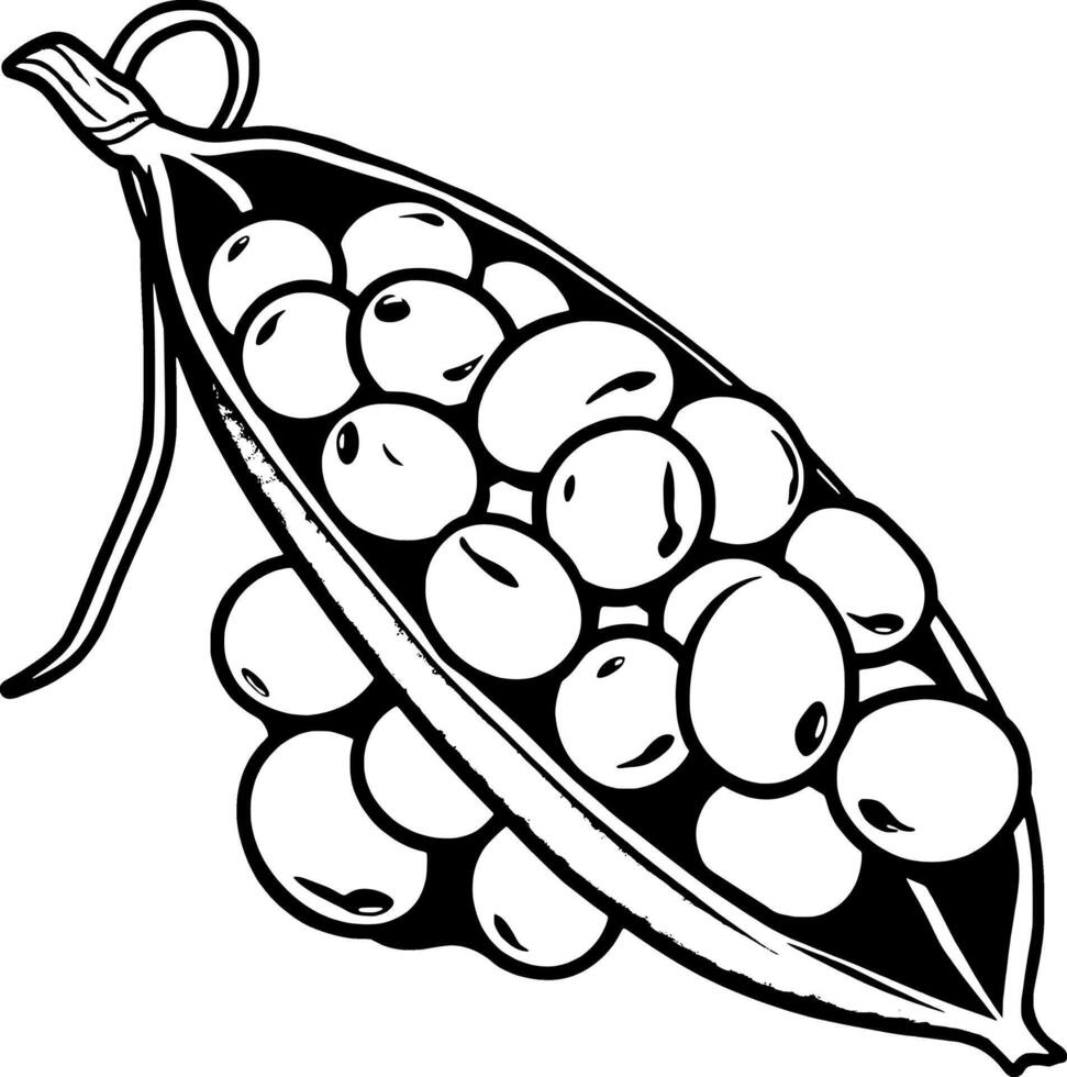Fresh Green Peas in Open Pod Vibrant Illustration of Garden Produce vector