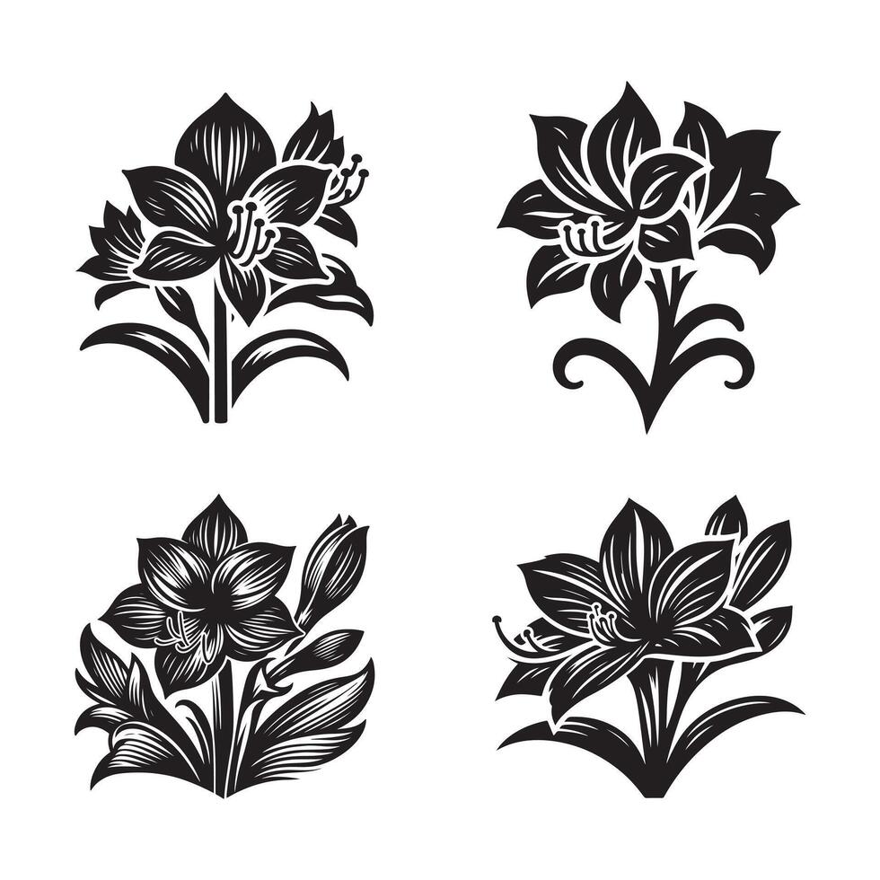 Amaryllis Black Art for Branding vector