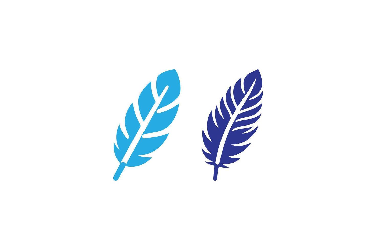 Two blue feathers on a white background vector
