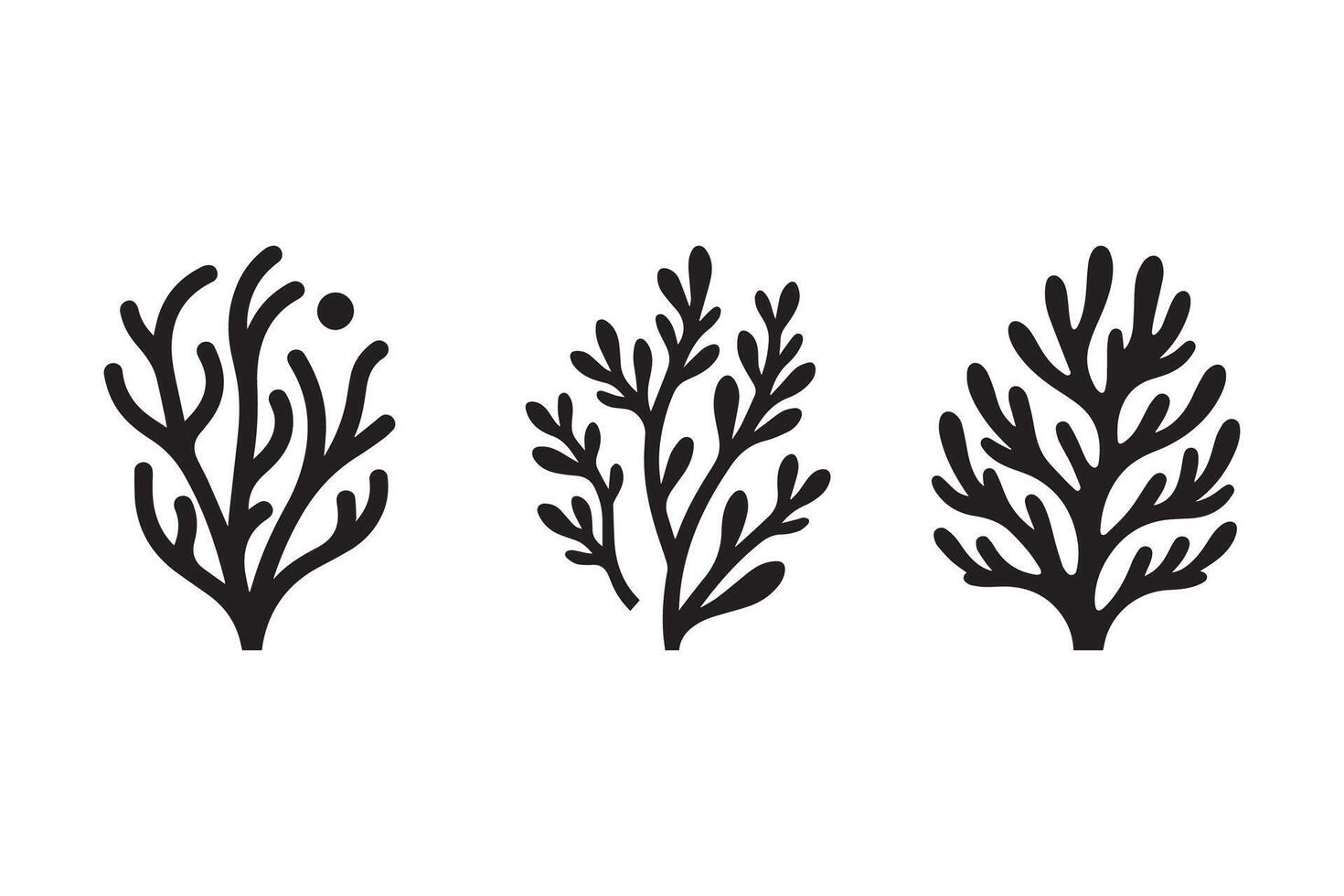 Three black and white drawings of plants vector