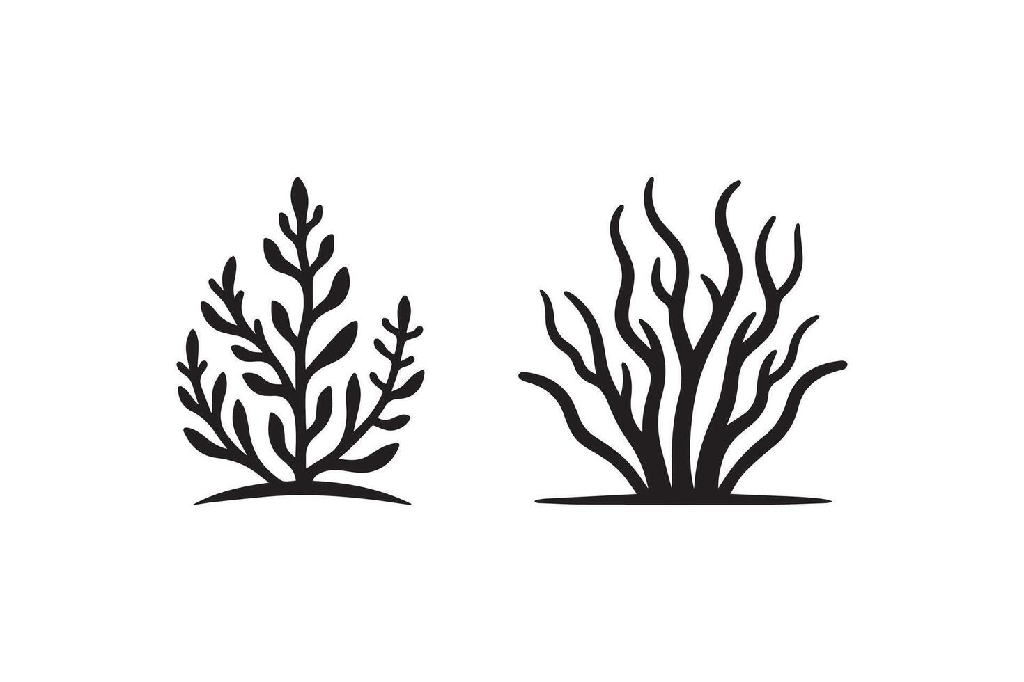 Two black and white illustrations of plants vector