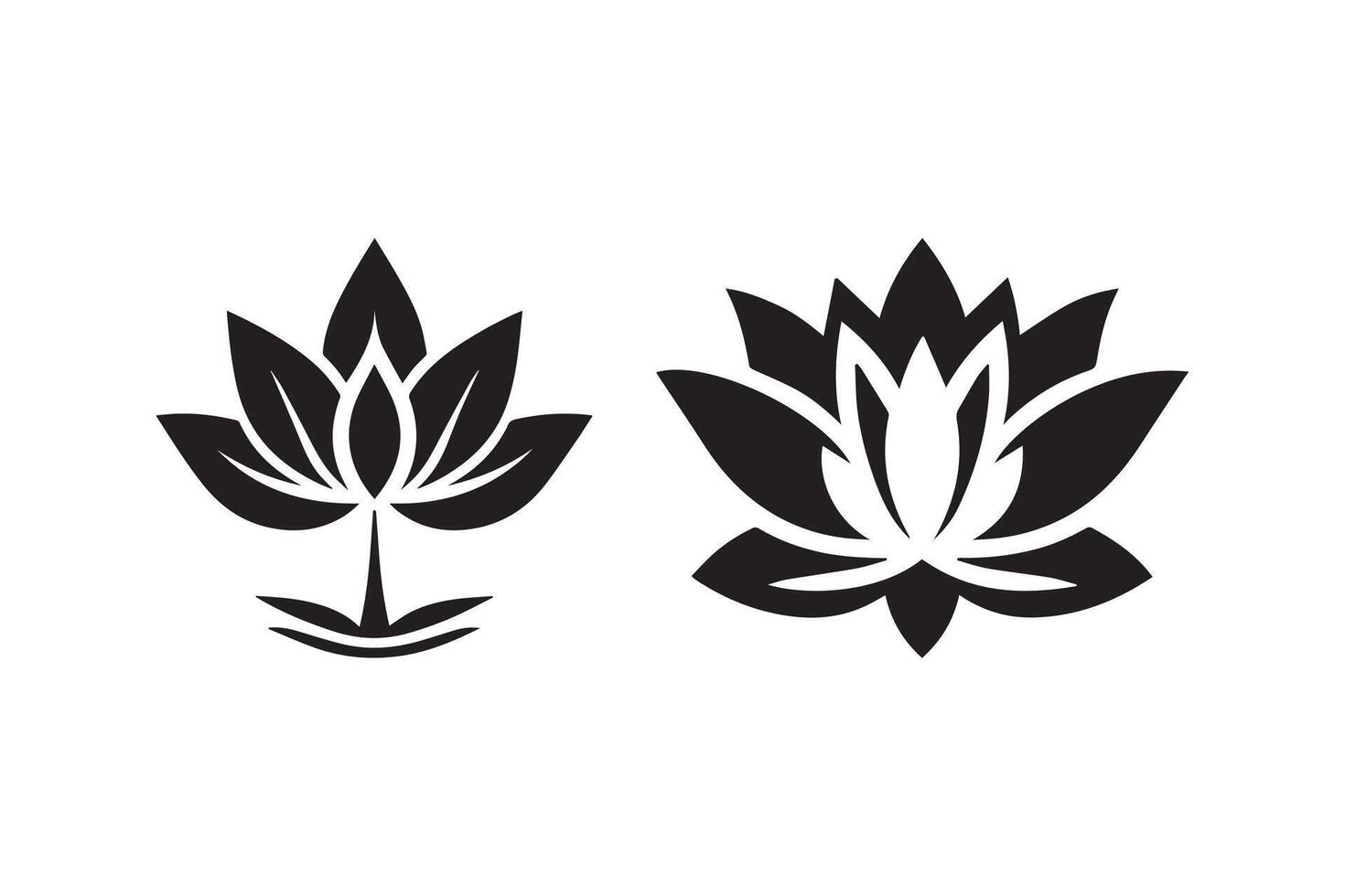 Two black and white lotus flowers on a white background vector