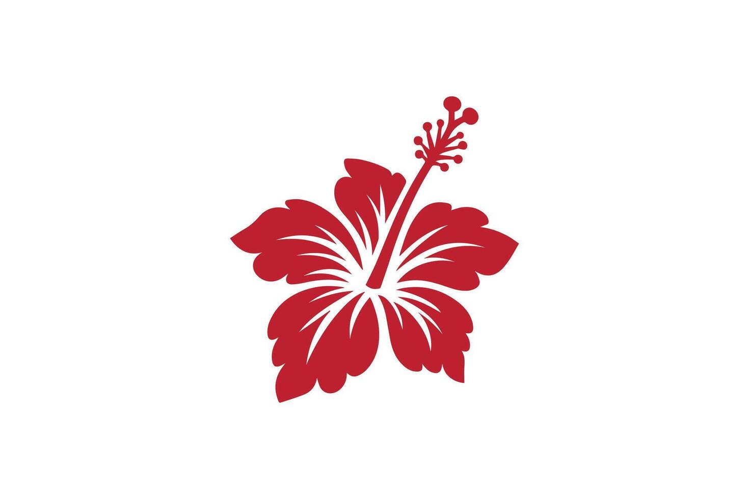 A red hibiscus flower is shown on a white background vector