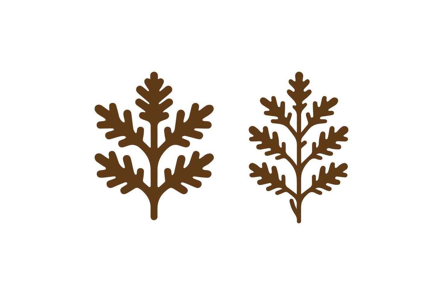 Two leaves are shown on a white background vector