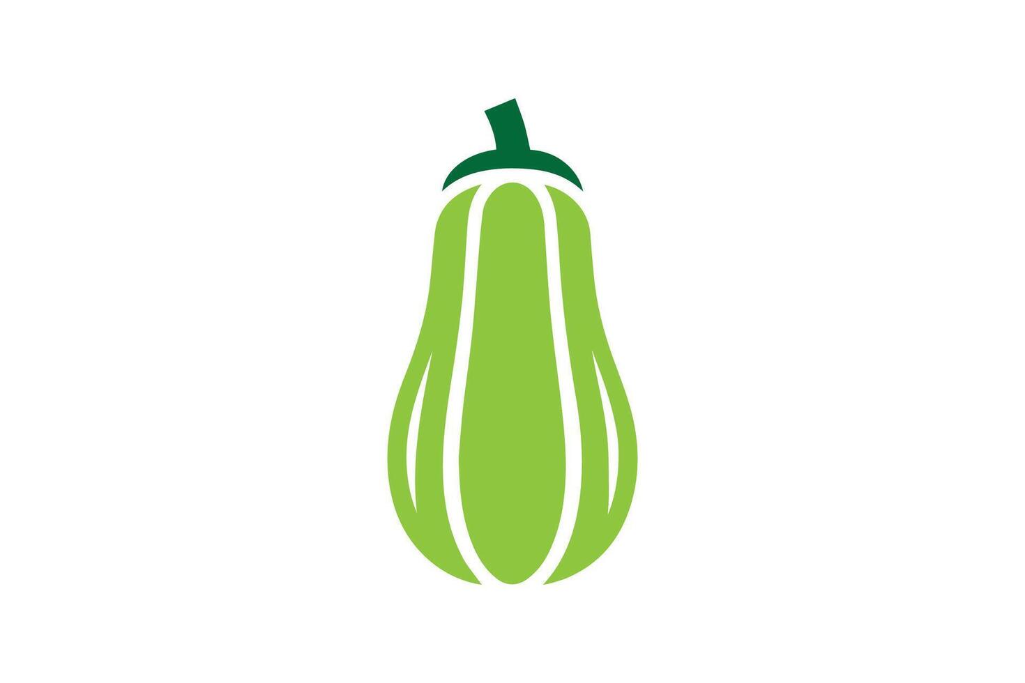 A green squash on a white background vector