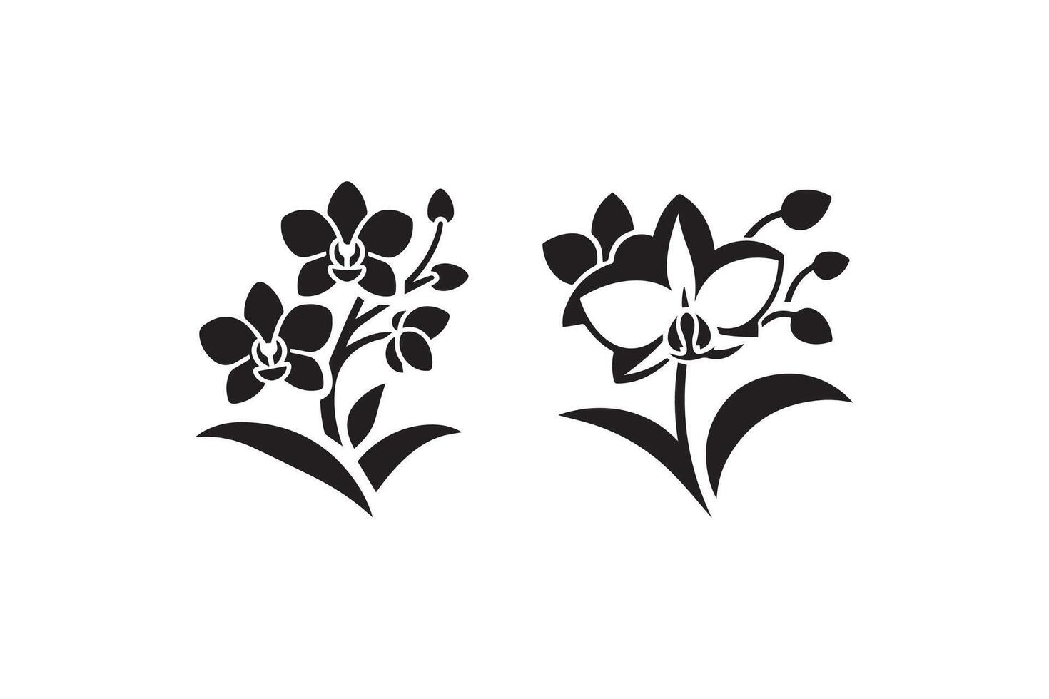 Two black and white flowers are shown in the shape of orchids vector