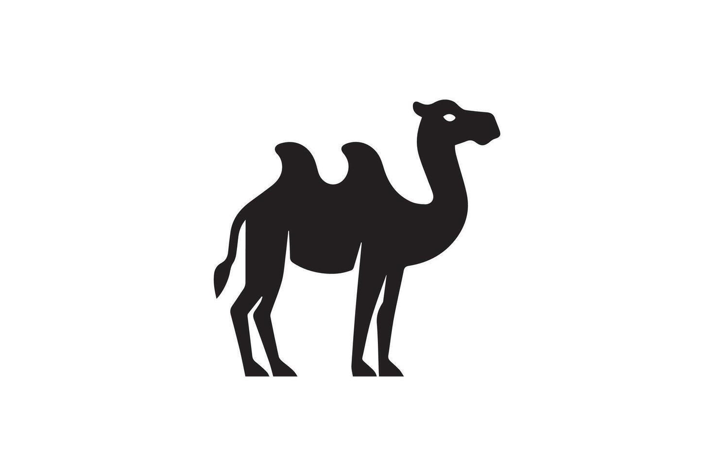 A camel is standing in front of a white background vector
