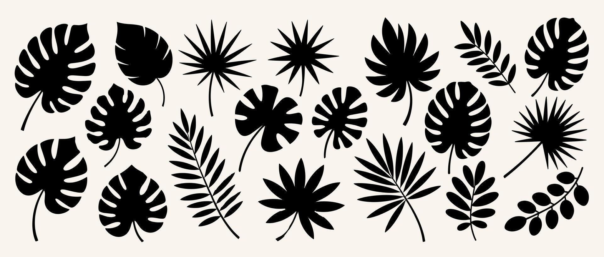 Flat collection of tropical leaf silhouettes in black on a light background, including monstera, palm, and botanical foliage designs vector