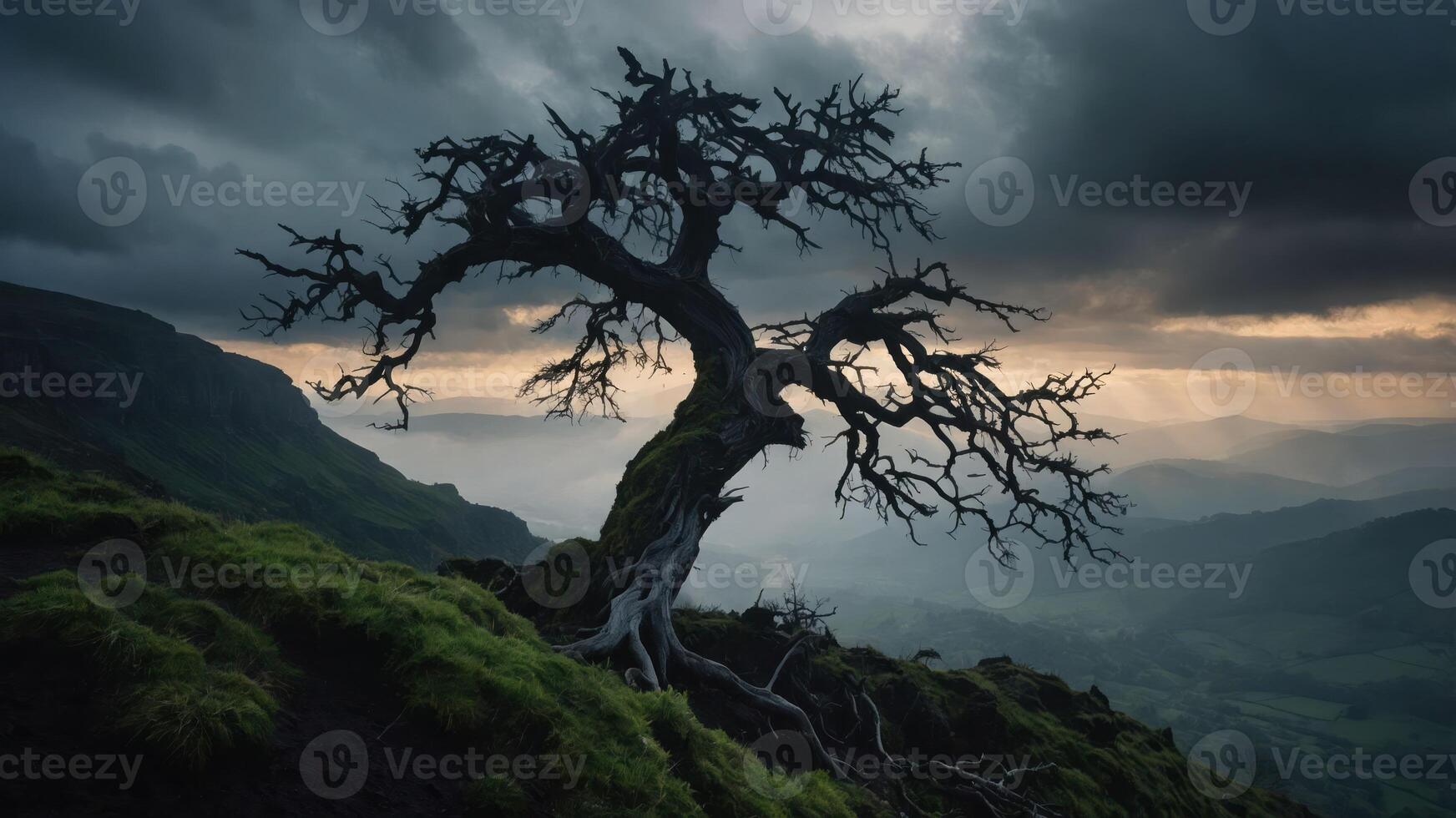 A solitary, gnarled tree stands against a dramatic sky, evoking a sense of solitude and nature's beauty. photo
