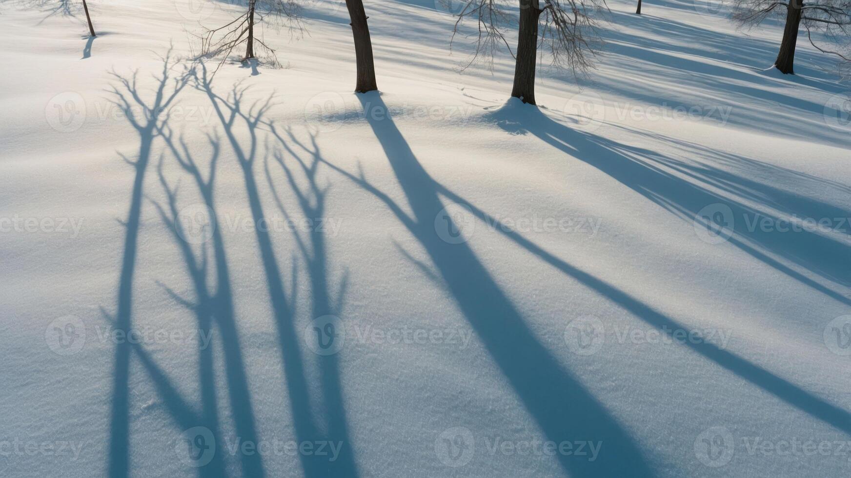 Shadows of trees cast on a snowy landscape, creating a serene winter scene. photo