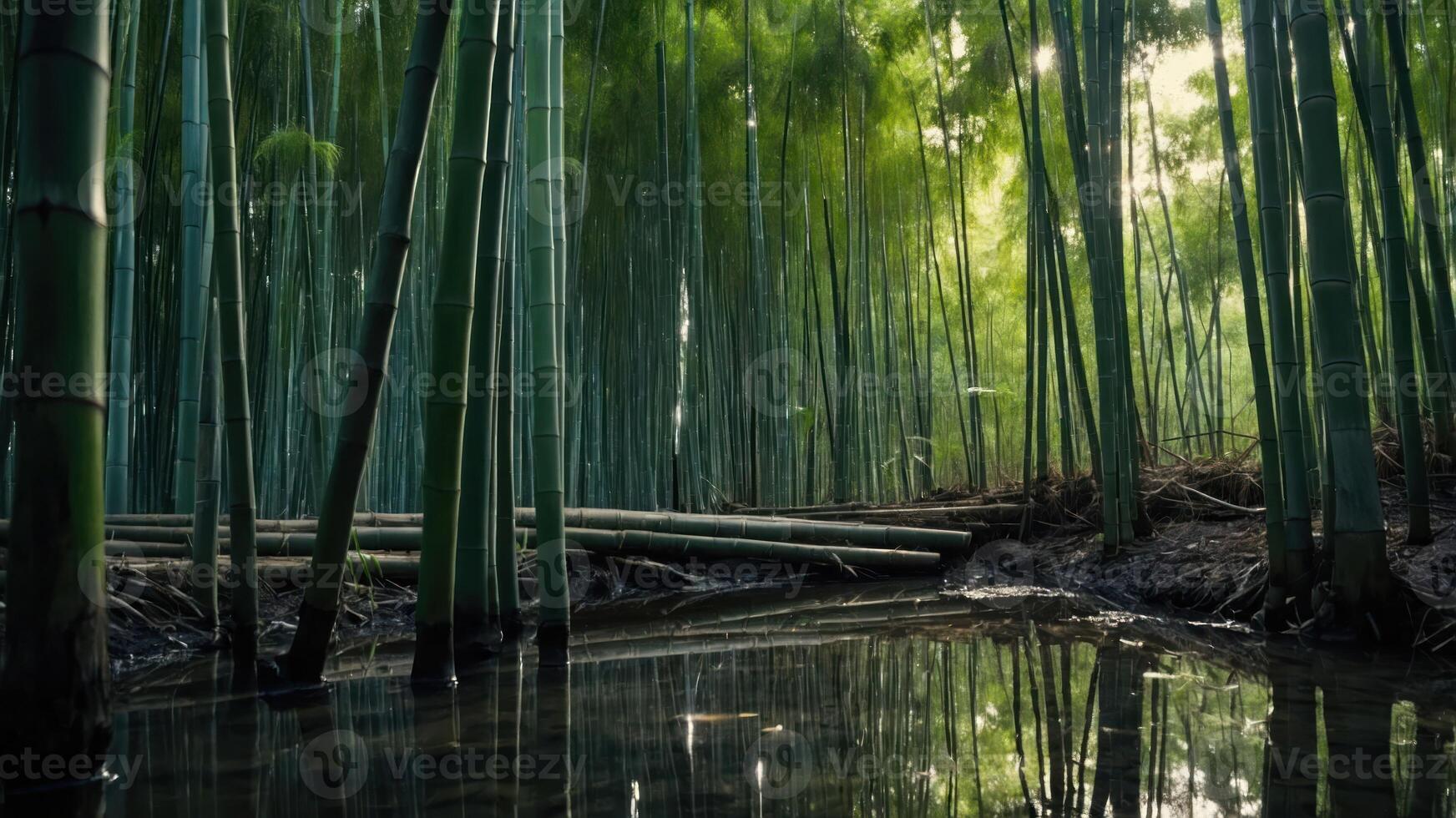 Serene bamboo forest with a reflective water surface and soft light filtering through. photo