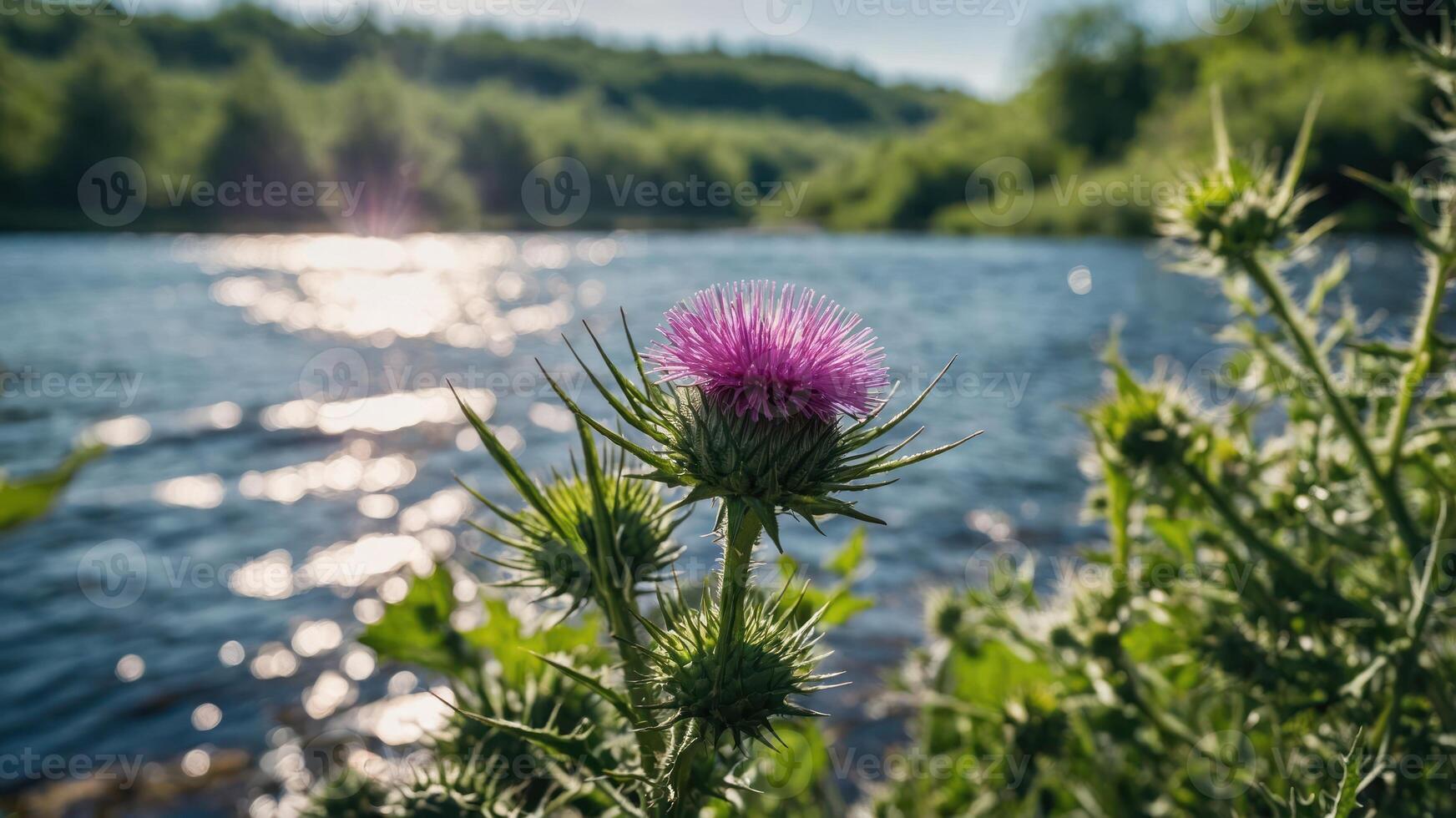 A vibrant thistle flower stands by a shimmering river, surrounded by lush greenery. photo