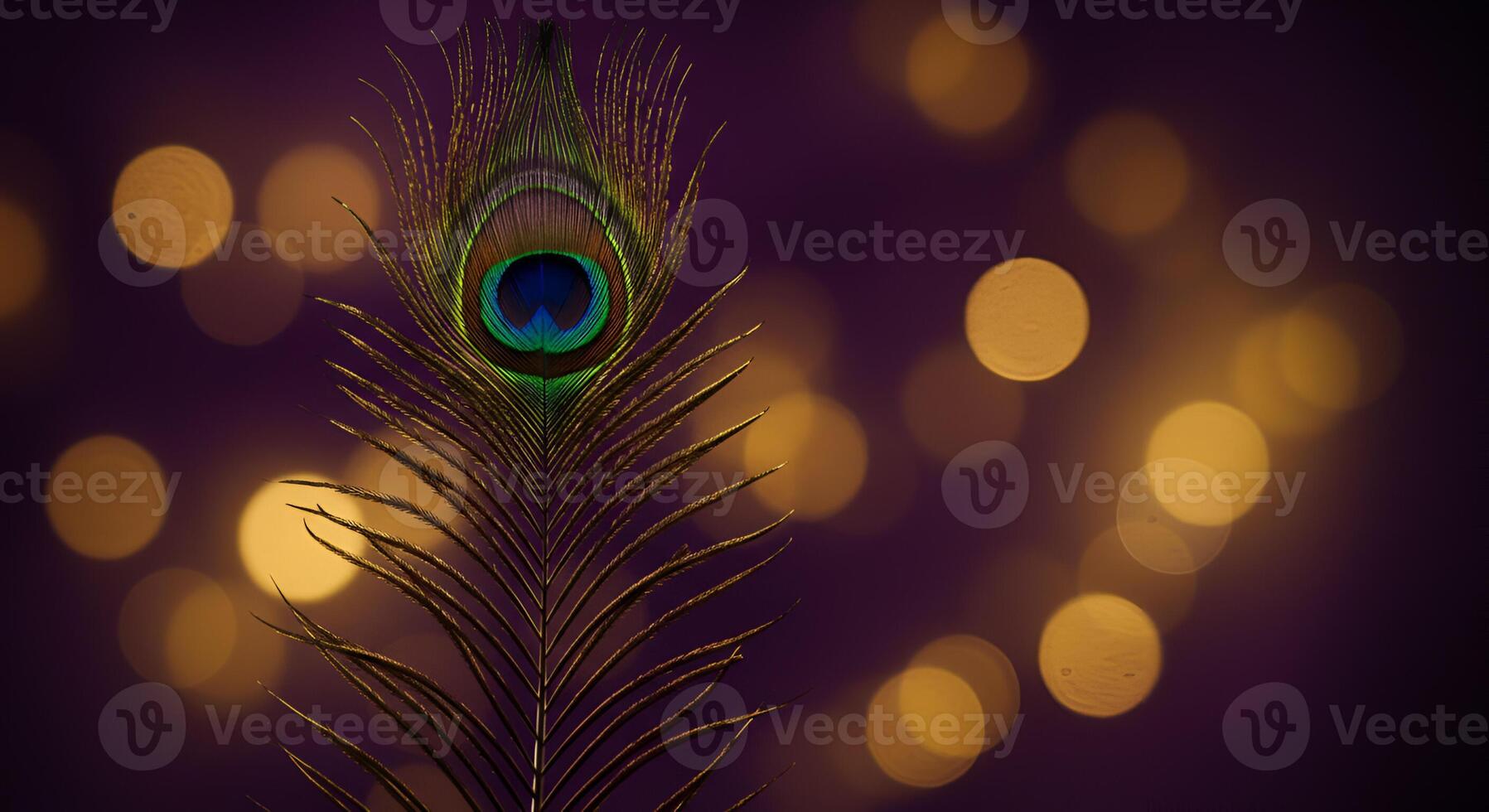 Single Peacock Feather Against a Bokeh Background photo