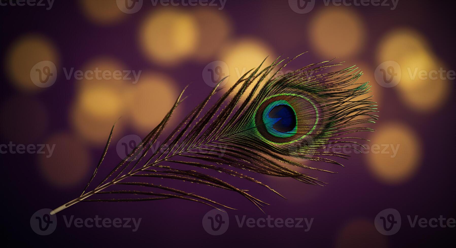 Single iridescent peacock feather against a bokeh background photo