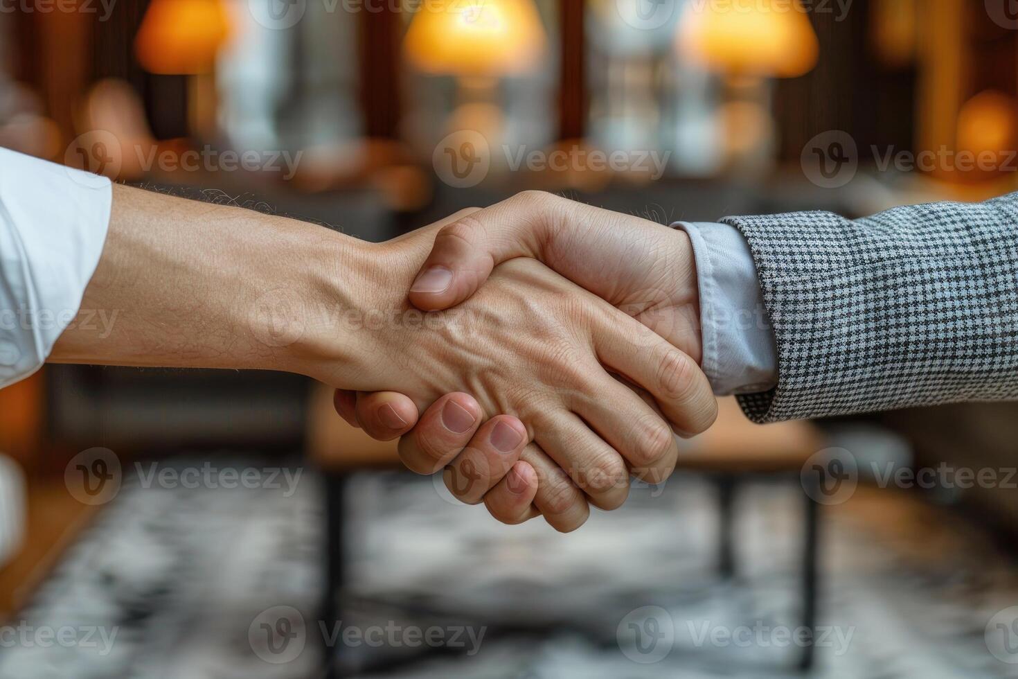 Two Hands Clasped In A Business Handshake Agreement photo
