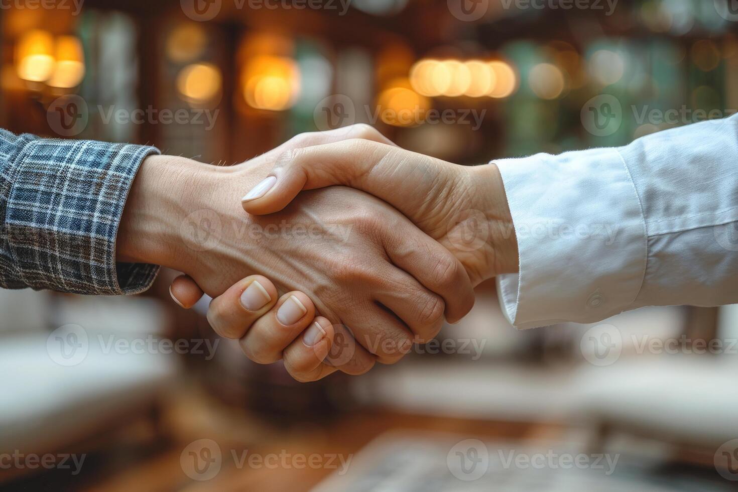 Two People Shake Hands In A Luxurious Setting photo