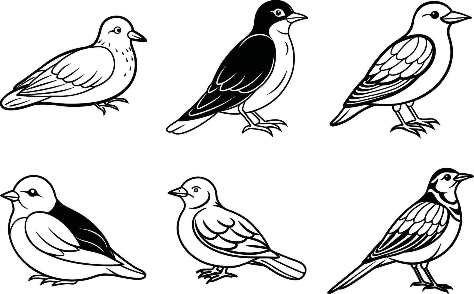 a set of six different birds, including a dove, a pigeon, a sparrow, a vector