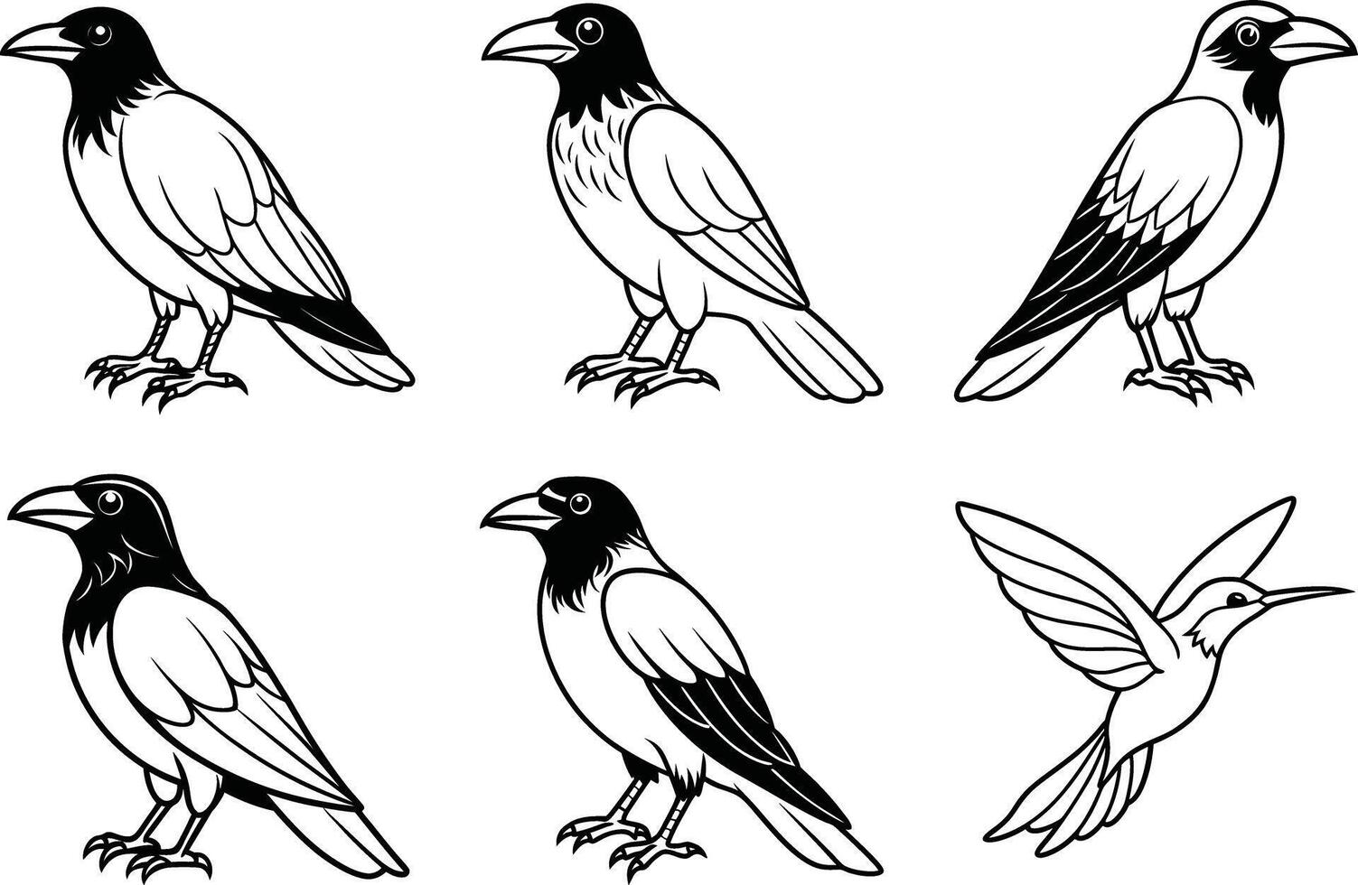 a set of four different birds, including a crow, a crow, a crow and a crow vector
