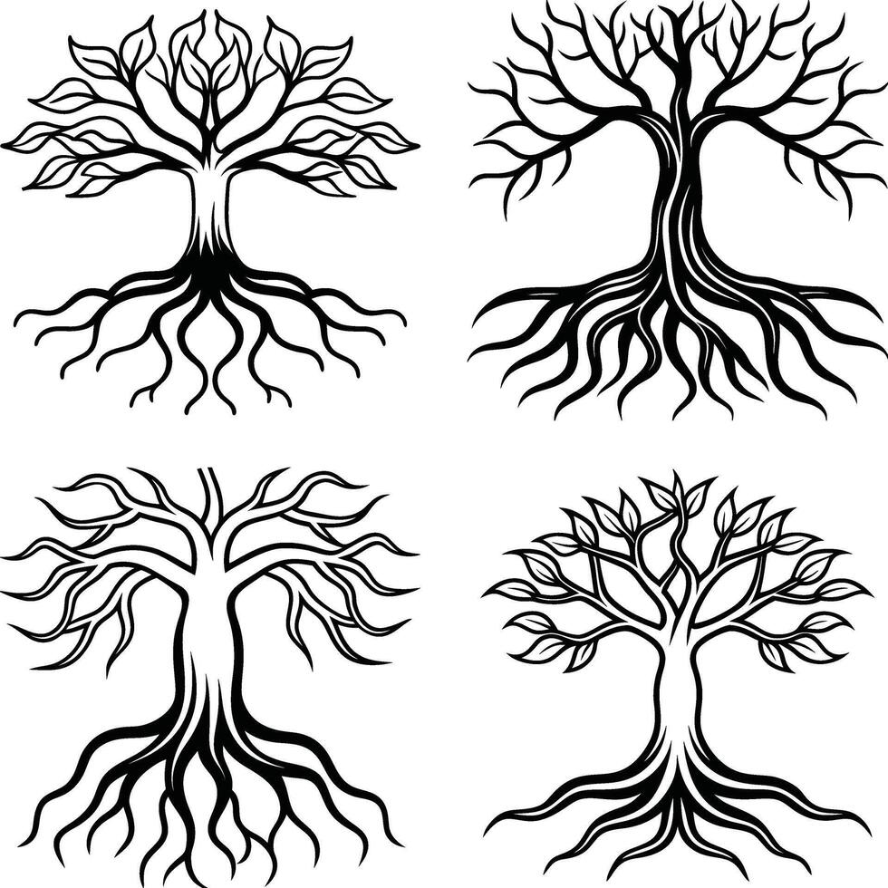 Graceful Flowing Curve Line Art Collection vector