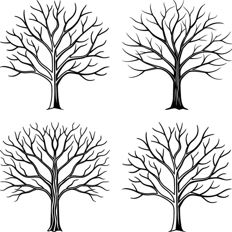 Graceful Tree Line Art Collection vector