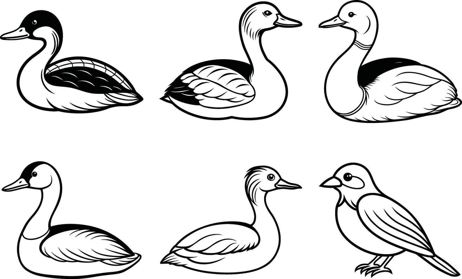 a set of four ducks in different poses vector