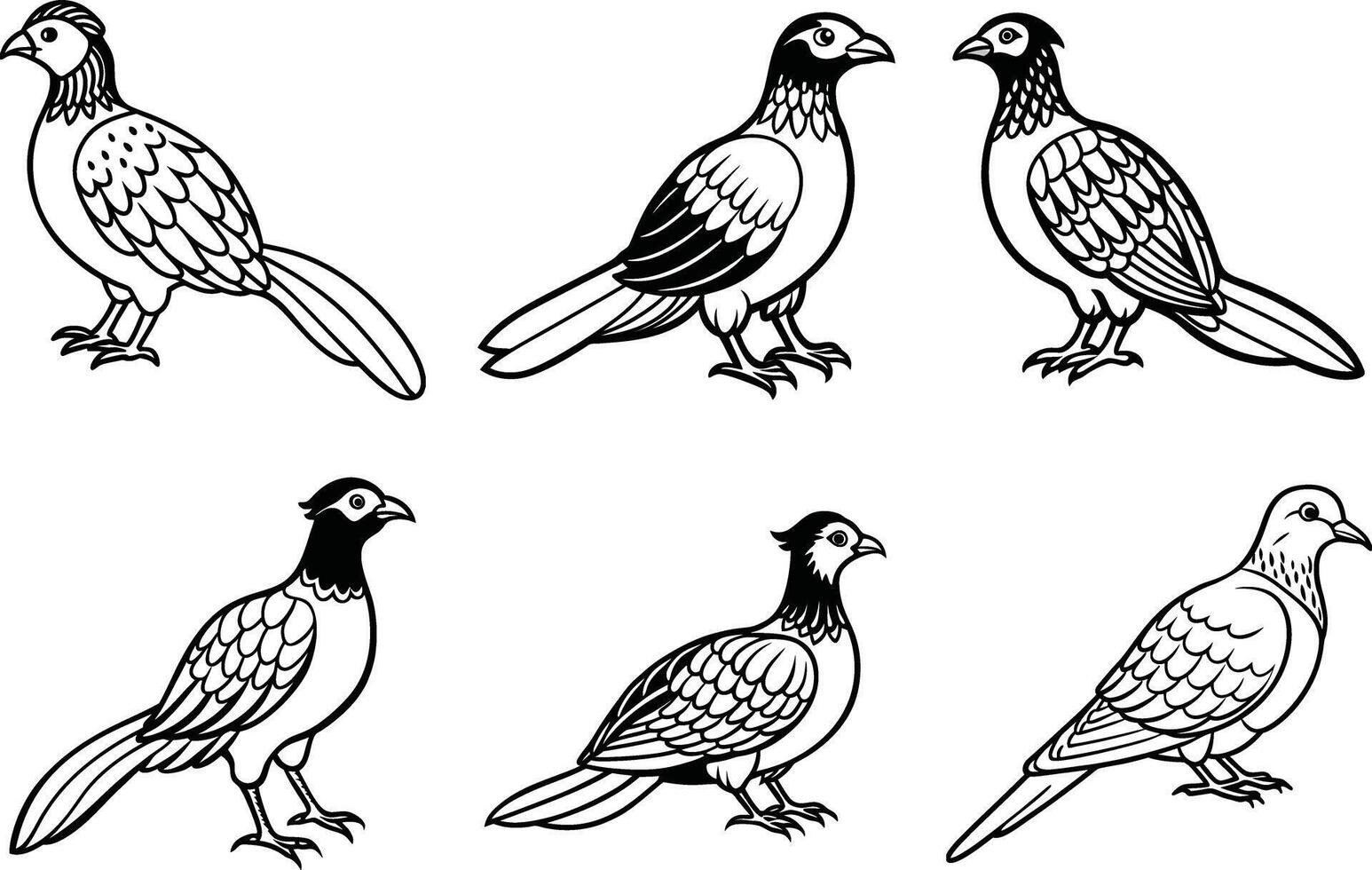 a set of six different birds, including a pigeon, a dove, a dove, a pigeon vector
