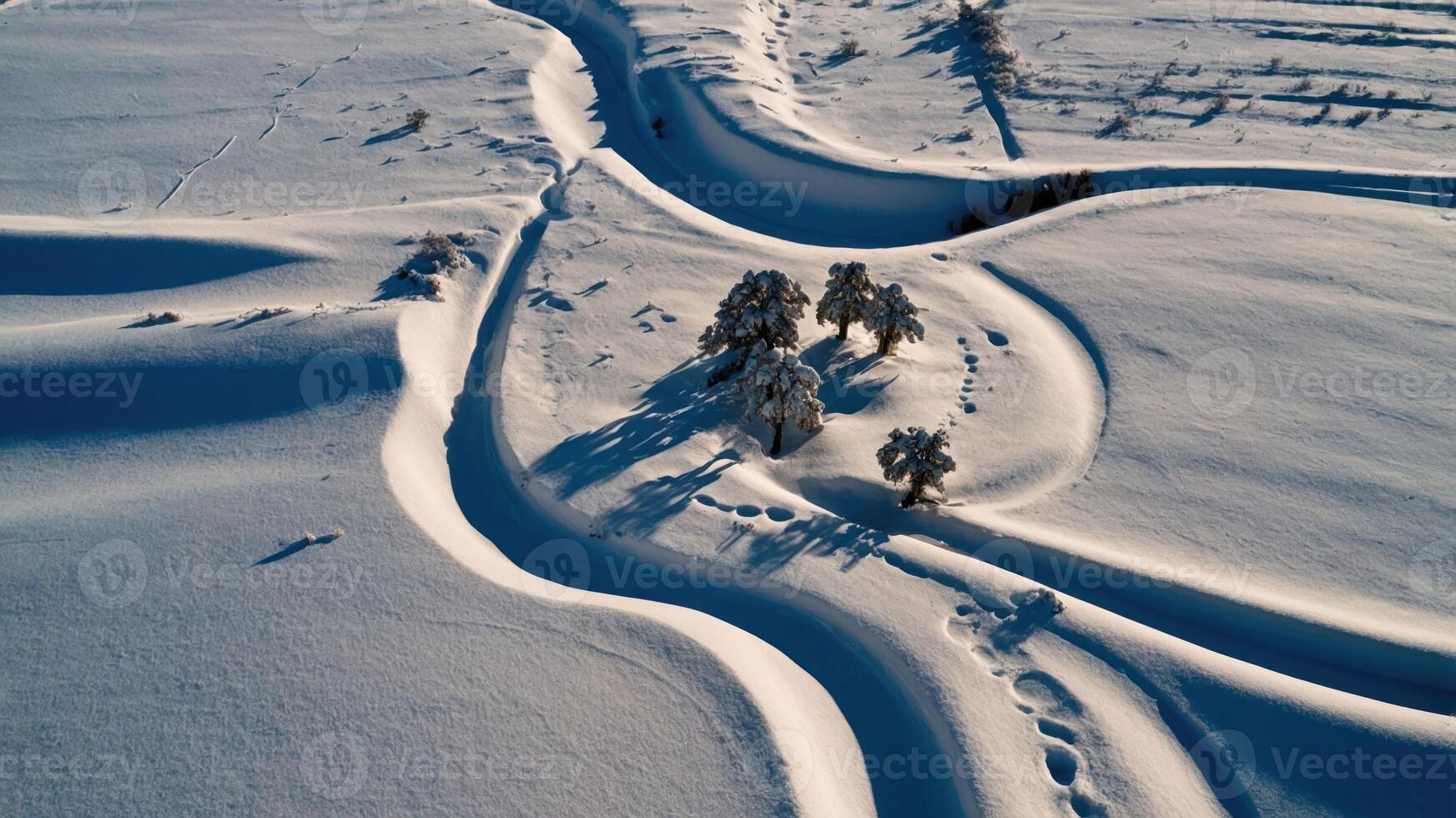 Aerial view of snow-covered landscape with winding paths and trees. photo