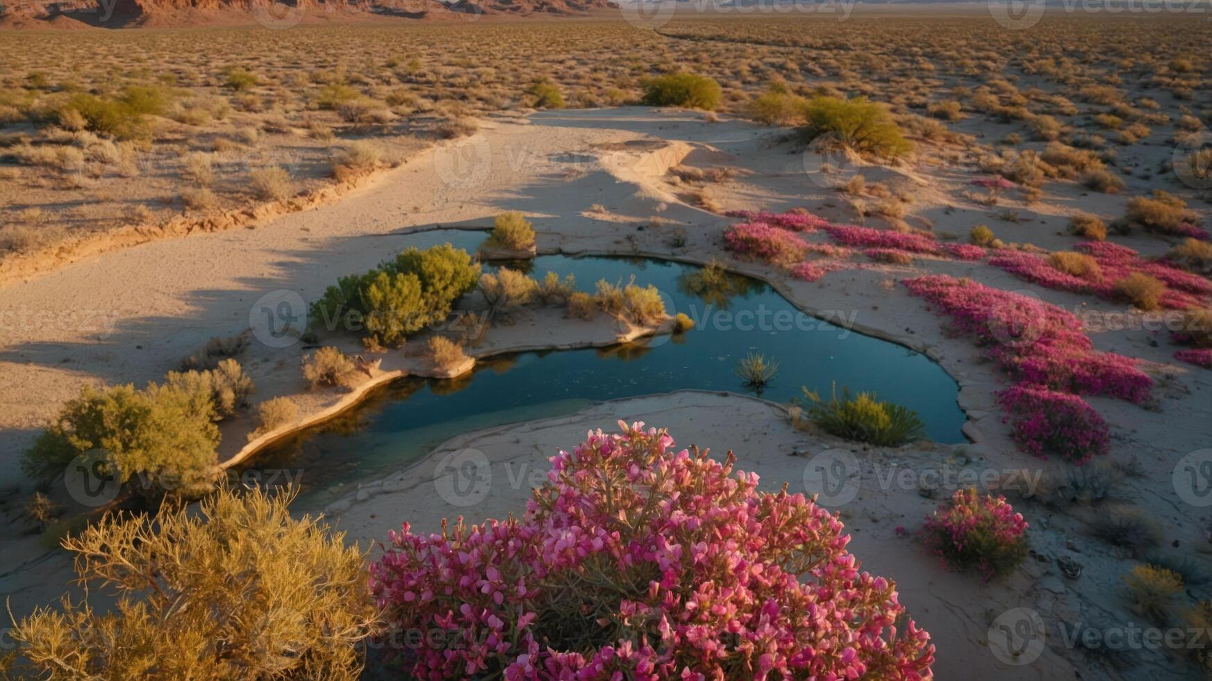 A serene desert oasis with vibrant pink flowers and a reflective water pool. photo