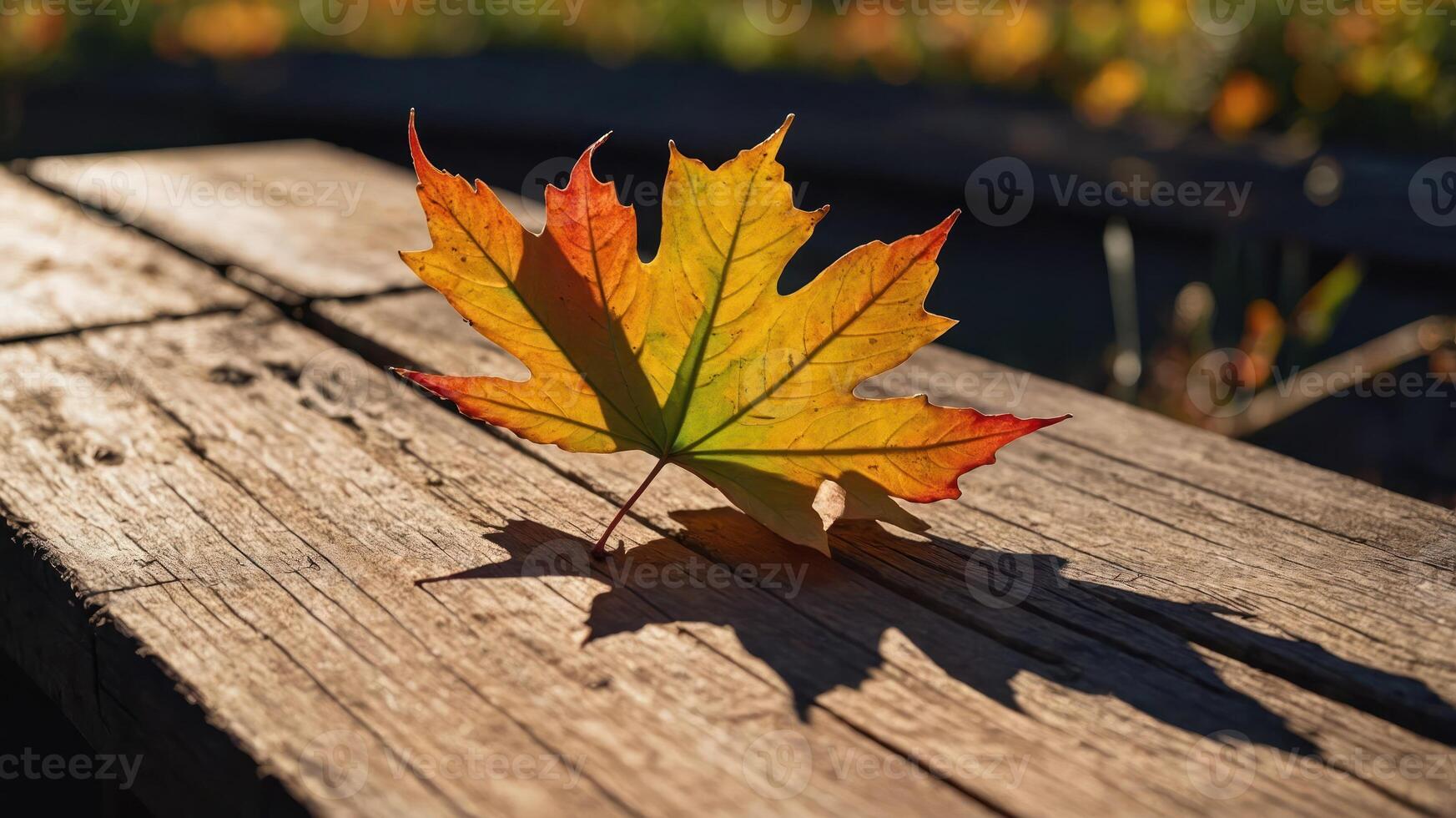 A vibrant autumn leaf resting on a wooden surface, casting a shadow in soft sunlight. photo