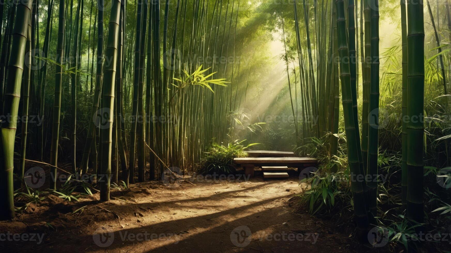 Serene bamboo forest with sunlight filtering through tall stalks, inviting tranquility. photo