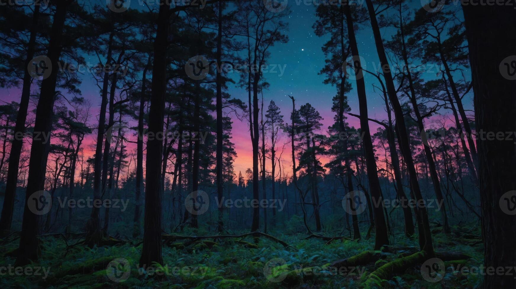 A serene forest scene at dusk with vibrant colors in the sky. photo