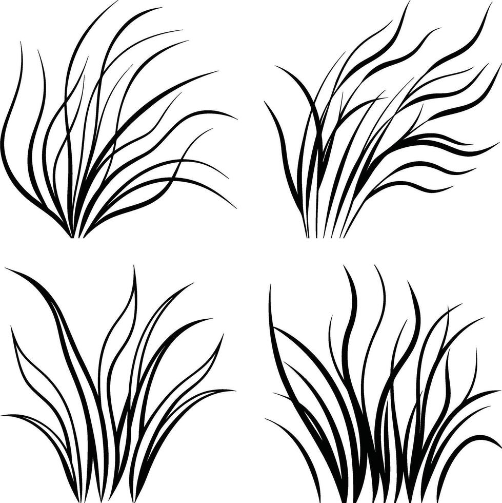 Elegant Flow Curve Line Art Compilation vector