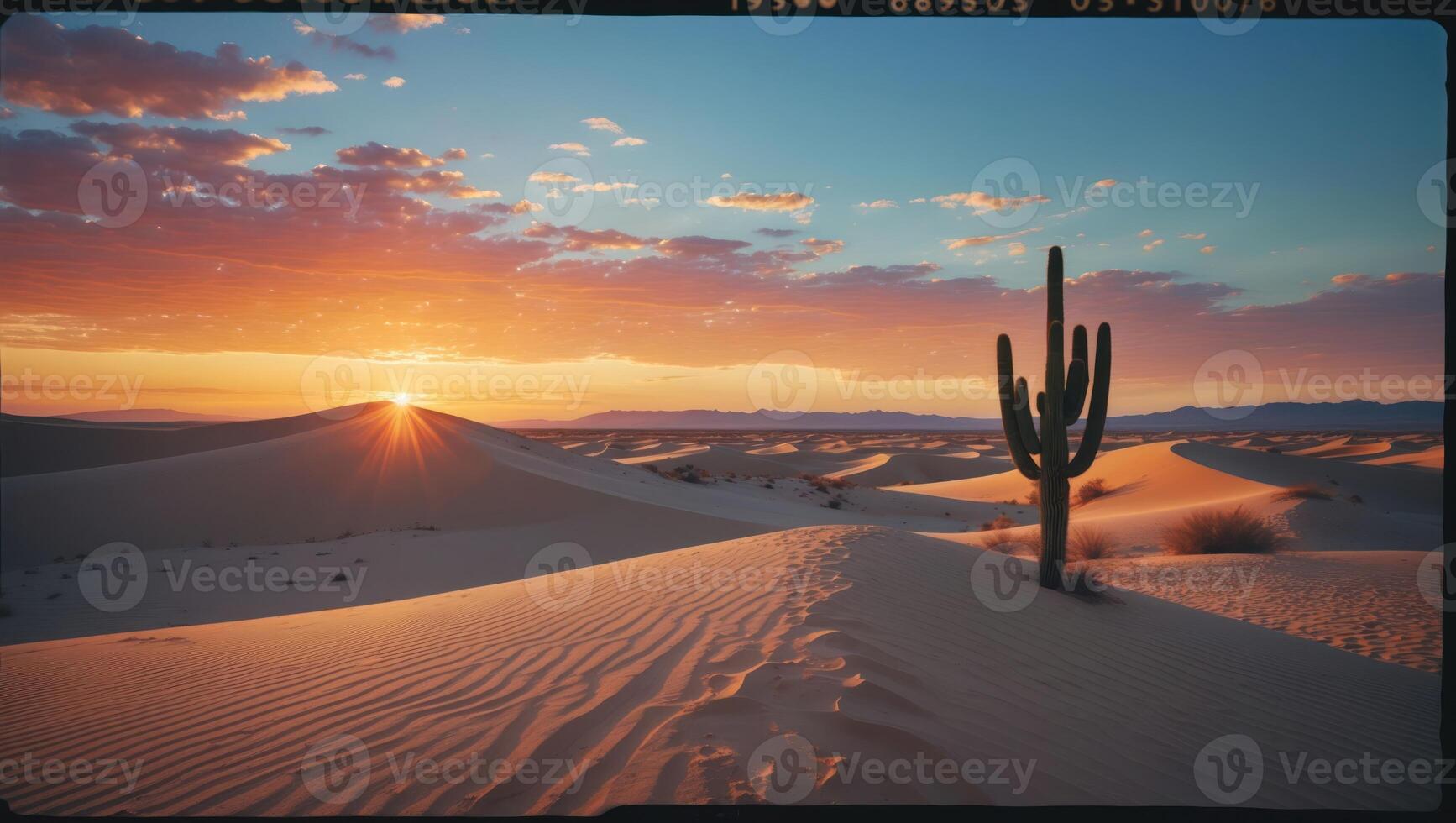 Cactus in Desert Sand Dunes at Sunset with Colorful Sky photo
