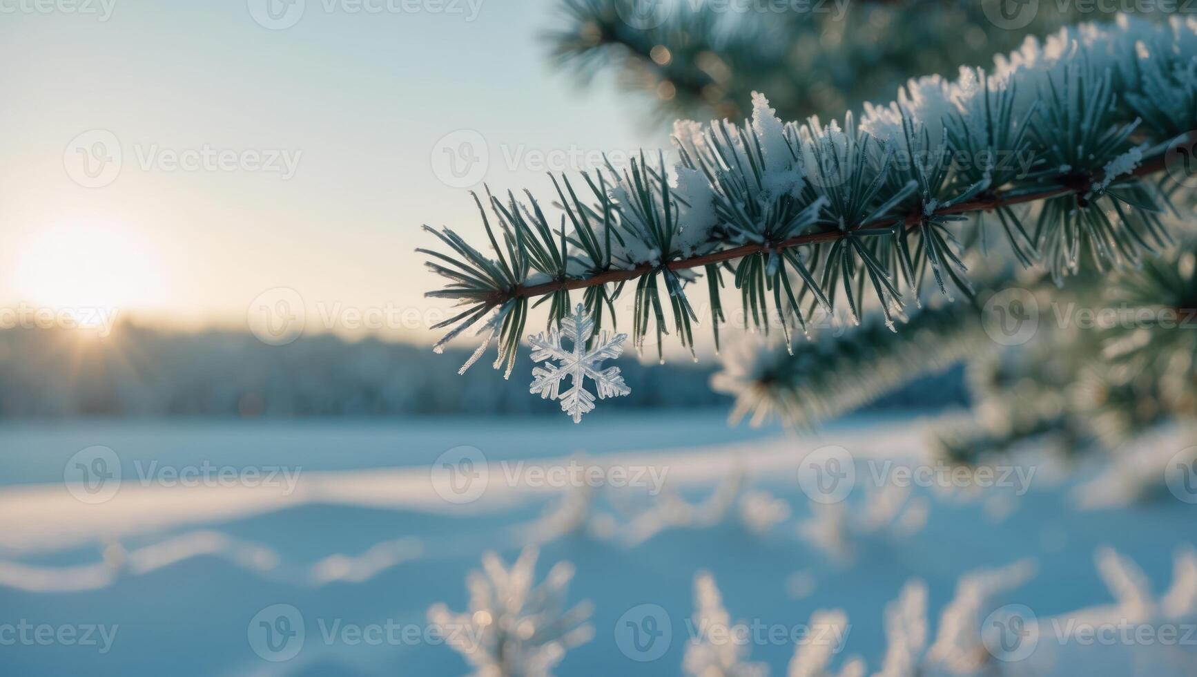 Snowflake on Pine Branch in Winter Sunlight Over Snowy Landscape photo
