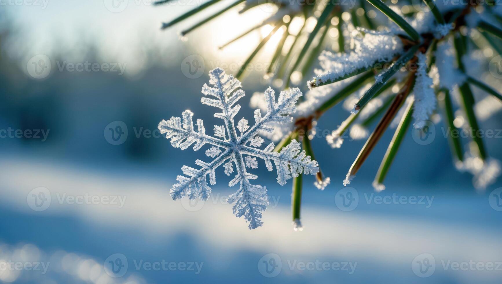 Snowflake on Evergreen Branch with Frosty Winter Sunlight in Nature photo
