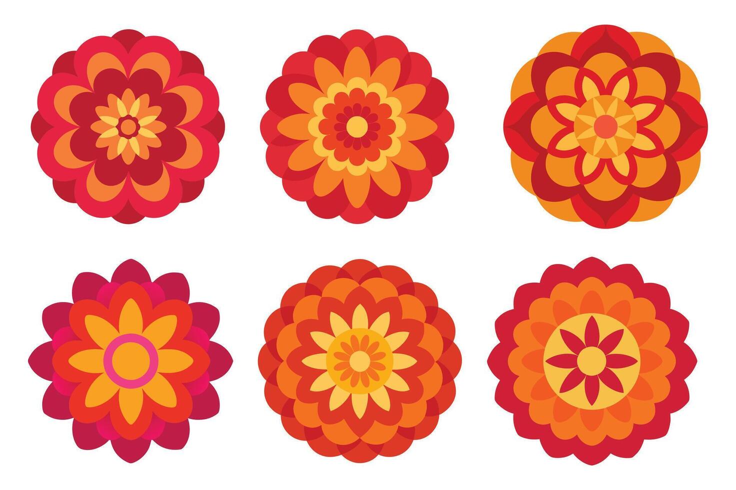 Vibrant Floral Designs for Creative Projects vector