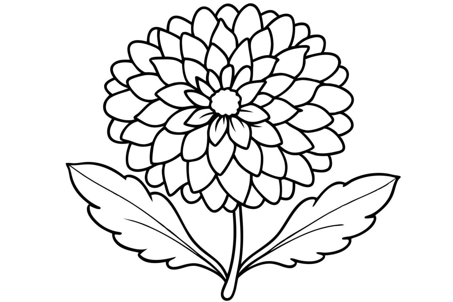 Elegant Black and White Dahlia Illustration vector