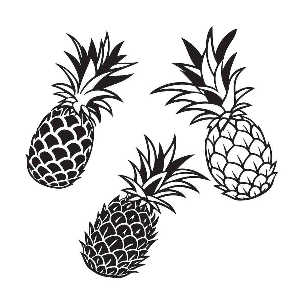 Pineapple Black Outline Images vector
