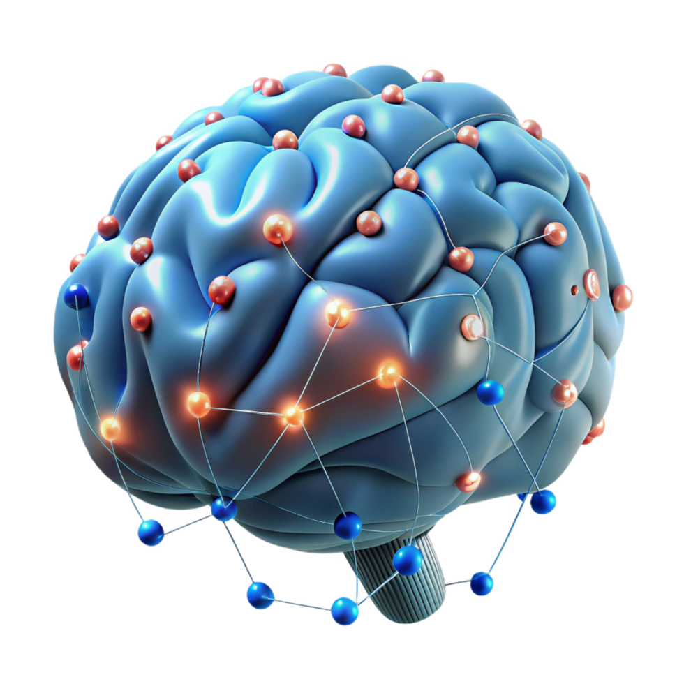 splendid artistic A single, human brain with glowing neural connections. NO BACKGROUND with Transparent Background. crisp png