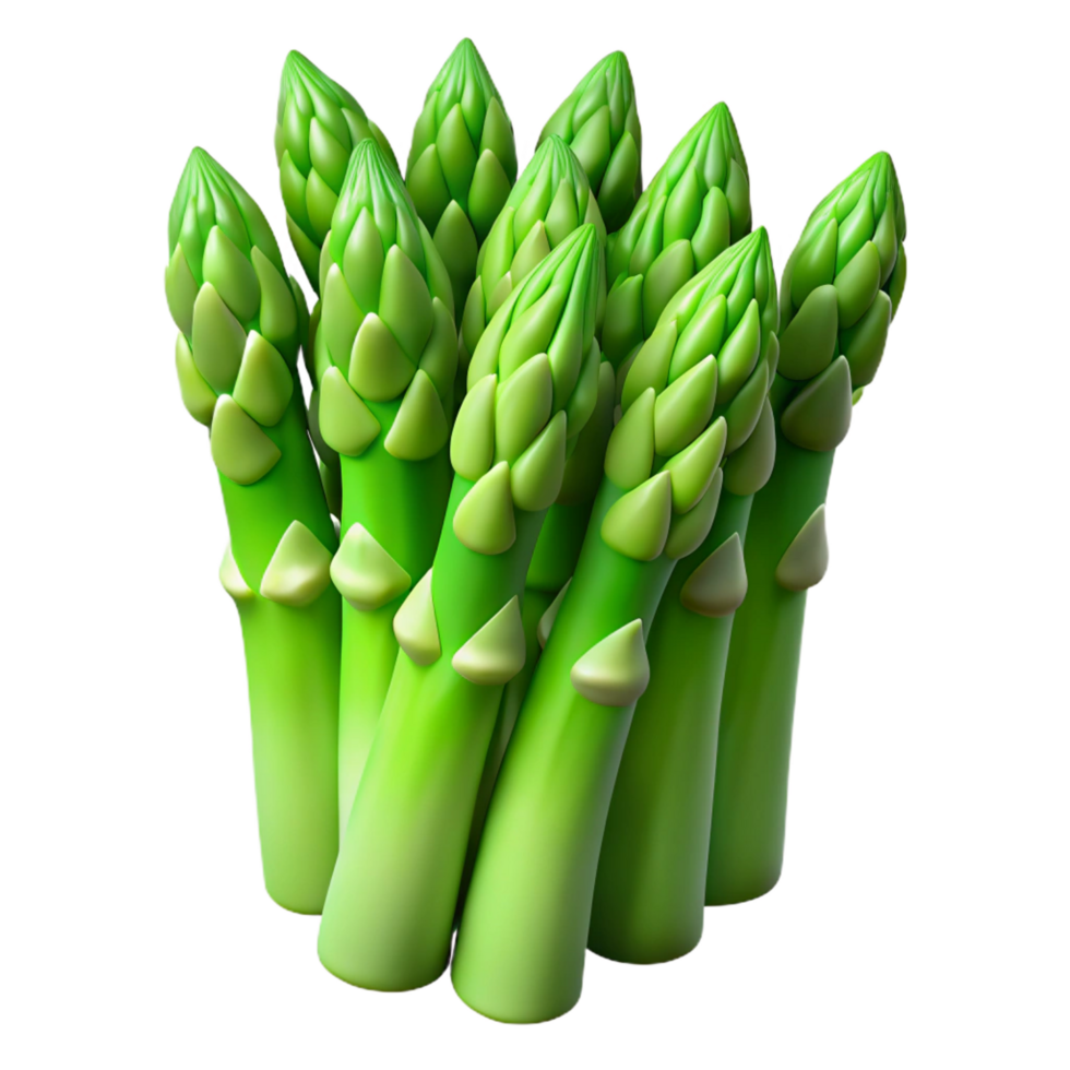 radiant inspired One bunch of green asparagus NO BACKGROUND with Transparent Background. png