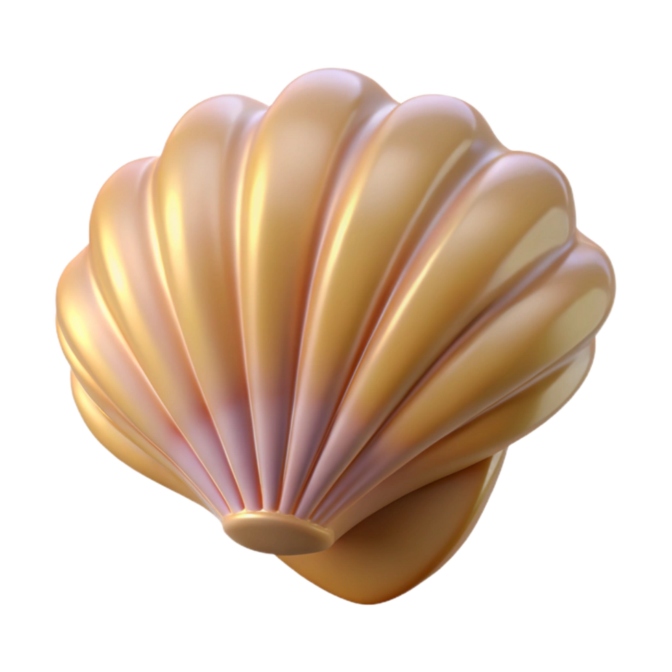 notable abstract A single seashell NO BACKGROUND with Transparent Background. artisan png