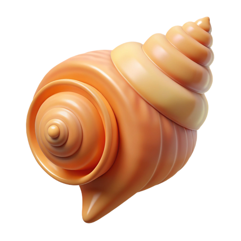 splendid rustic Seashell, spiral conch NO BACKGROUND with Transparent Background. top-tier png