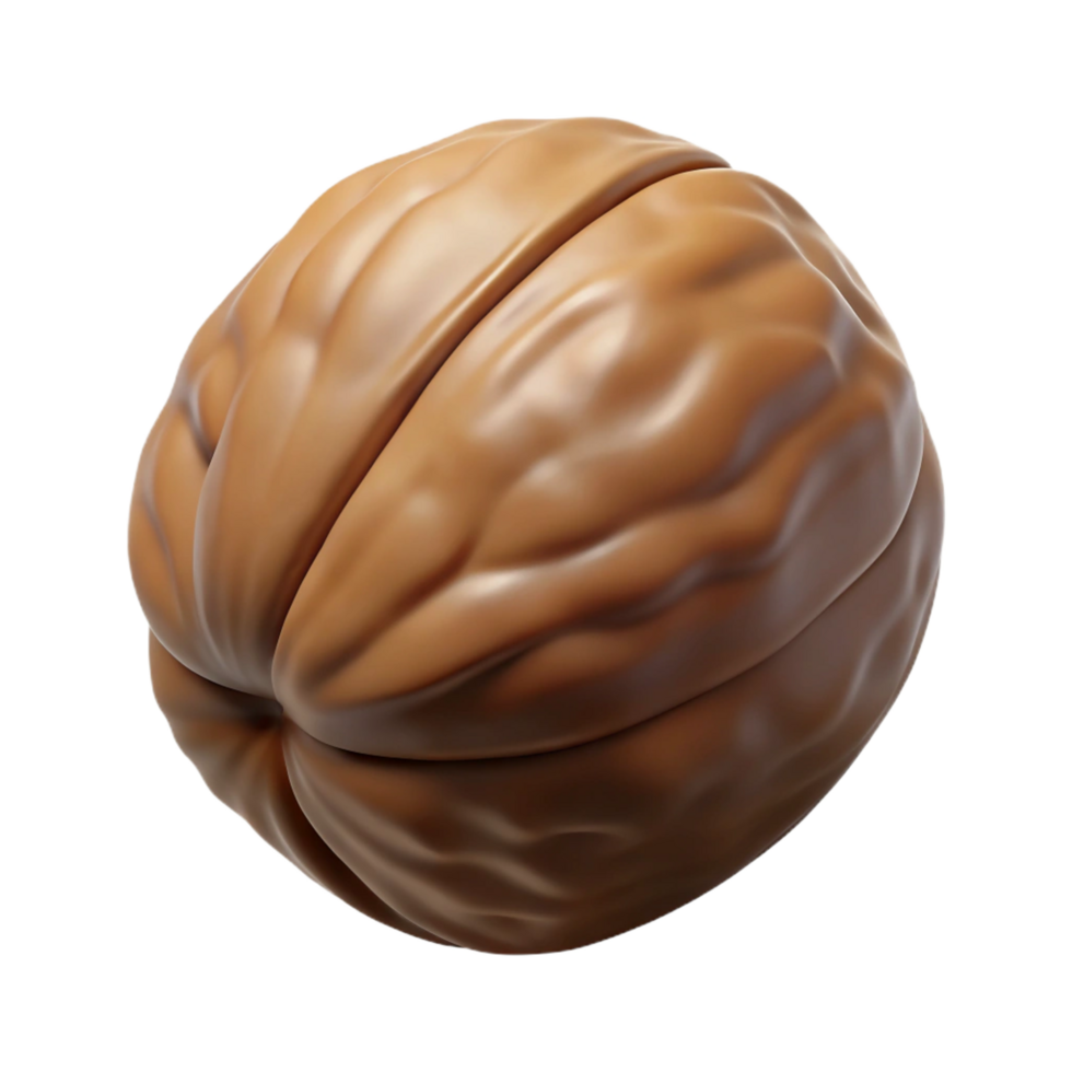 wonderful art deco A single walnut in its shell NO BACKGROUND with Transparent Background. refined png